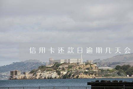 信用卡还款日逾期几天会收费 信用卡还款日逾期几天会收费