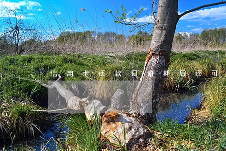 信用卡还款日逾期后还可以用吗 信用卡还款日逾期后还可以用吗
