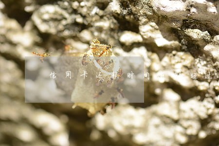 信用卡还款时间逾期超过三天