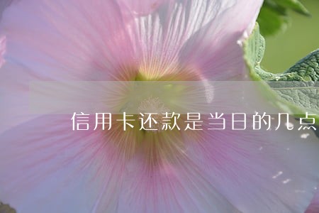 信用卡还款是当日的几点不算逾期