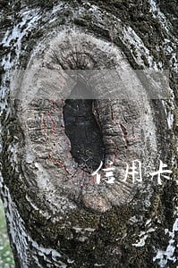 信用卡还款显示待入账算逾期吗