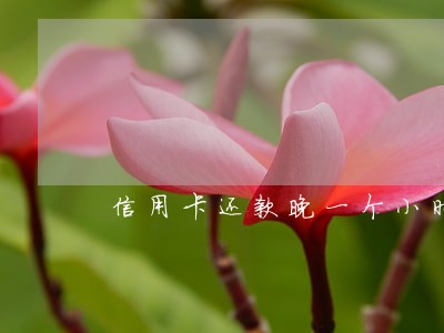 信用卡还款晚一个小时算逾期吗 信用卡还款晚一个小时算逾期吗