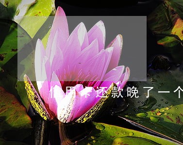 信用卡还款晚了一个小时算逾期吗 信用卡还款晚了一个小时算逾期吗