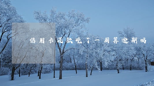 信用卡还款晚了一周算逾期吗