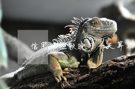 信用卡还款晚了一天算不算逾期