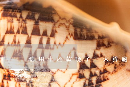 信用卡还款晚了三天算逾期吗 信用卡还款晚了三天算逾期吗