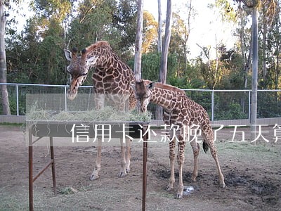 信用卡还款晚了五天算不算逾期 信用卡还款晚了五天算不算逾期