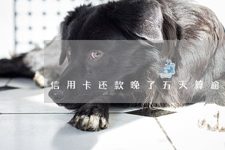 信用卡还款晚了五天算逾期吗
