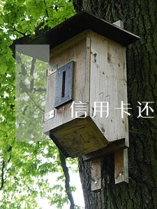 信用卡还款晚几点不算逾期 信用卡还款晚几点不算逾期