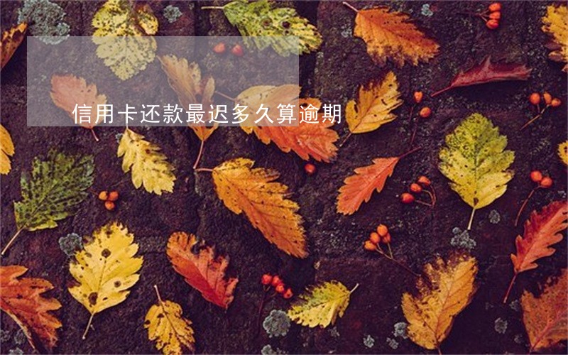 信用卡还款最迟多久算逾期