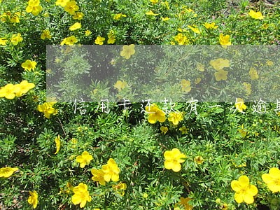 信用卡还款有一次逾期 信用卡还款有一次逾期