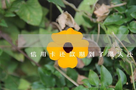 信用卡还款期到了隔天还算逾期吗 信用卡还款期到了隔天还算逾期吗