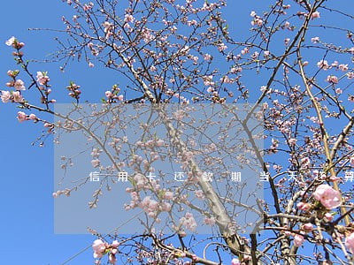 信用卡还款期当天还算逾期