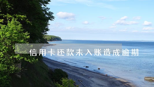 信用卡还款未入账造成逾期 信用卡还款未入账造成逾期