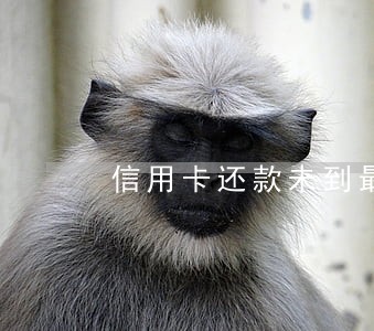 信用卡还款未到最低还款算逾期吗 信用卡还款未到最低还款算逾期吗