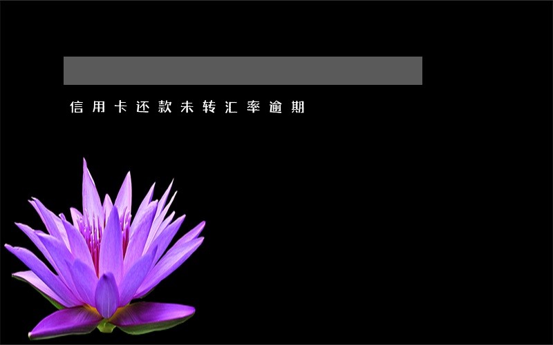 信用卡还款未转汇率逾期 信用卡还款未转汇率逾期