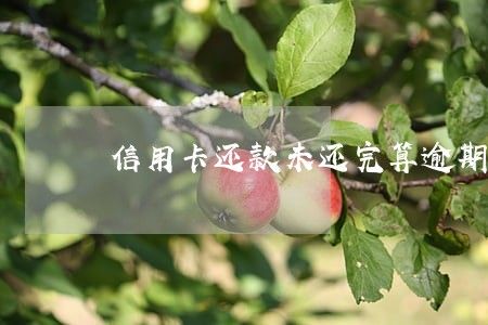 信用卡还款未还完算逾期吗 信用卡还款未还完算逾期吗