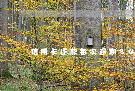 信用卡还款每次逾期34天 信用卡还款每次逾期34天