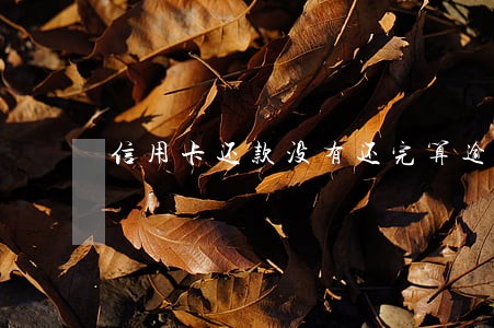 信用卡还款没有还完算逾期吗 信用卡还款没有还完算逾期吗