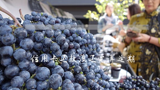 信用卡还款没还完算逾期