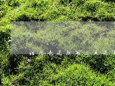 信用卡还款第三天还算逾期吗 信用卡还款第三天还算逾期吗
