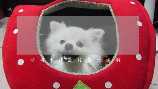 信用卡还款经常预逾期 信用卡还款经常预逾期