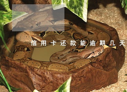 信用卡还款能逾期几天 信用卡还款能逾期几天