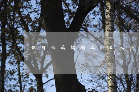 信用卡还款超过10天会逾期吗