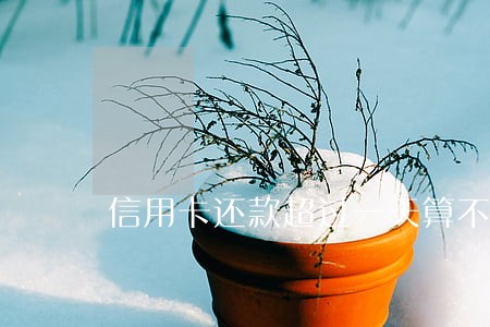信用卡还款超过一天算不算逾期 信用卡还款超过一天算不算逾期