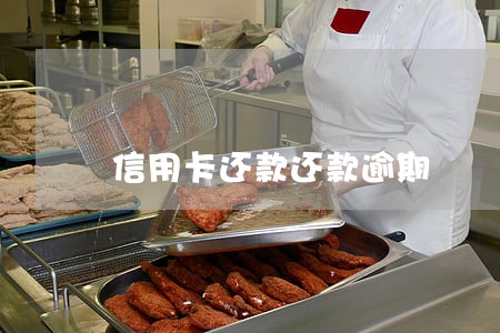 信用卡还款还款逾期 信用卡还款还款逾期