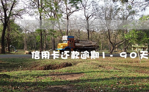 信用卡还款逾期1-90天 信用卡还款逾期1-90天