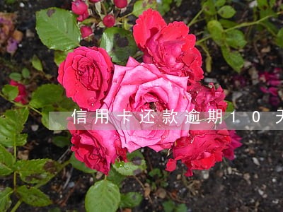 信用卡还款逾期10天要紧吗 信用卡还款逾期10天要紧吗