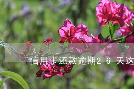 信用卡还款逾期26天这么办 信用卡还款逾期26天这么办