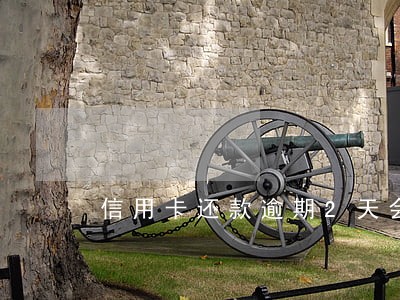 信用卡还款逾期2天会怎么样 信用卡还款逾期2天会怎么样