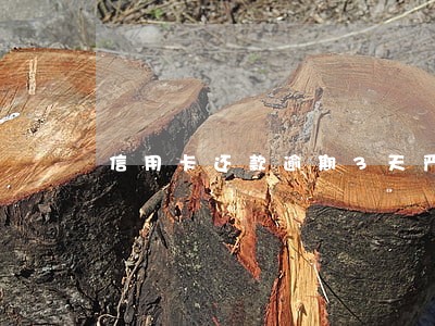 信用卡还款逾期3天严重
