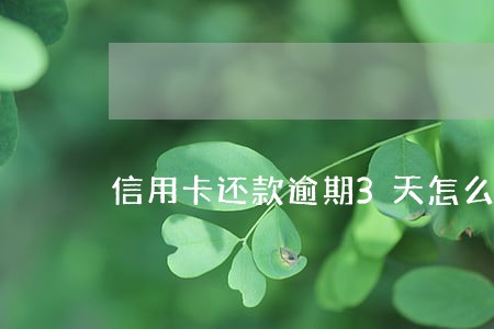 信用卡还款逾期3天怎么办 信用卡还款逾期3天怎么办
