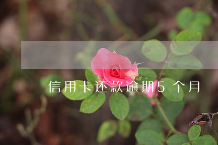 信用卡还款逾期5个月 信用卡还款逾期5个月