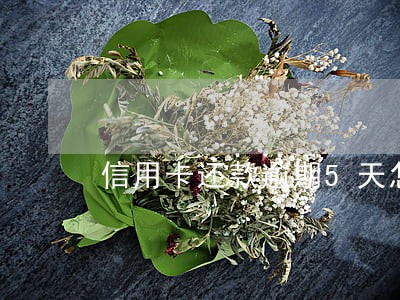 信用卡还款逾期5天怎么办 信用卡还款逾期5天怎么办