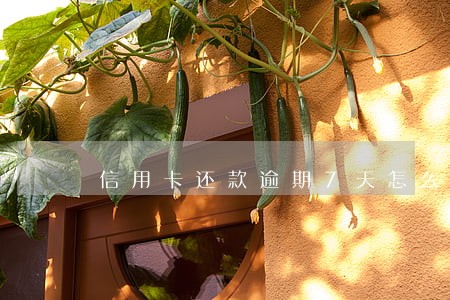 信用卡还款逾期7天怎么算