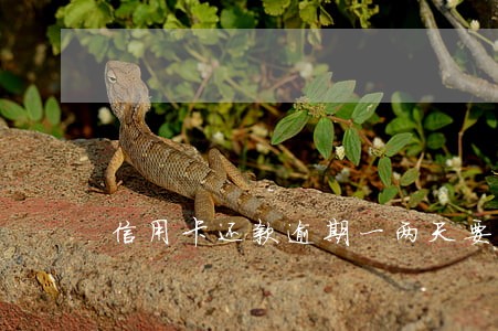 信用卡还款逾期一两天要紧吗 信用卡还款逾期一两天要紧吗