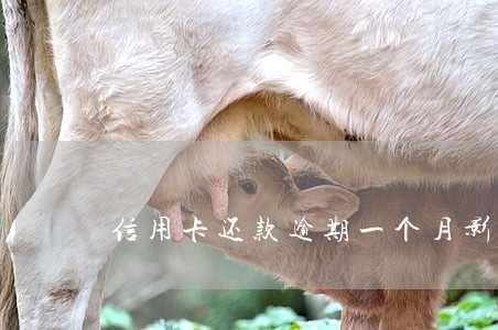 信用卡还款逾期一个月影响吗