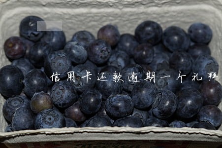 信用卡还款逾期一个礼拜可以吗