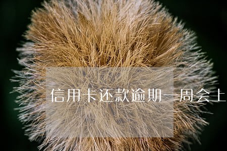 信用卡还款逾期一周会上征信吗 信用卡还款逾期一周会上征信吗