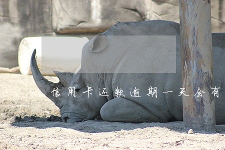 信用卡还款逾期一天会有滞纳金吗 信用卡还款逾期一天会有滞纳金吗