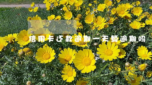 信用卡还款逾期一天算逾期吗 信用卡还款逾期一天算逾期吗