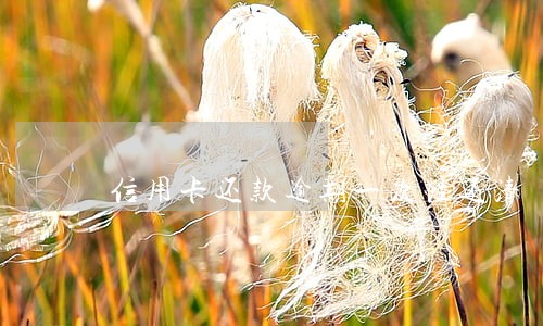 信用卡还款逾期一次性还清 信用卡还款逾期一次性还清