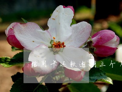 信用卡还款逾期三个月6 信用卡还款逾期三个月6
