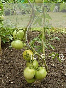信用卡还款逾期三个月怎么办 信用卡还款逾期三个月怎么办