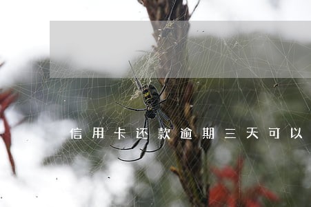 信用卡还款逾期三天可以上征信 信用卡还款逾期三天可以上征信