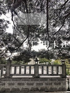 信用卡还款逾期不还有什么后果